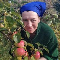 Лыфенко Анастасия